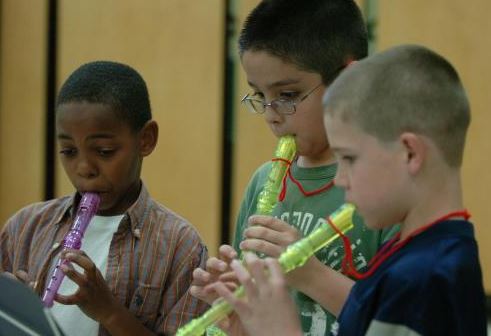 accordian players